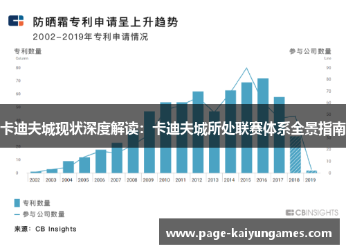 卡迪夫城现状深度解读：卡迪夫城所处联赛体系全景指南