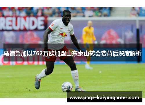 马德鲁加以762万欧加盟山东泰山转会费背后深度解析